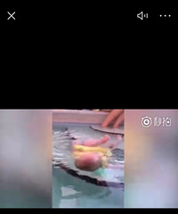 6���´��Ӥ��һͷ�Խ�ˮ�����ȴ��һ�Ծ�������