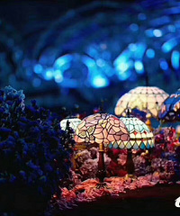 300W���õĻ���