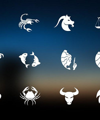 ��ɺ����10����������