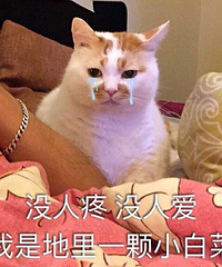 ����������һ��̸�������ò���