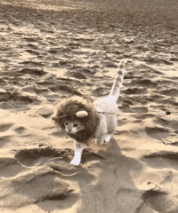 �쵼���ܼ�ȥ�Է�ϴ�Ż���400�� ͬ��˵��ô����