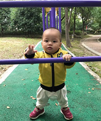 ����Ҫ�����з��ϻ��� �ɳ���Ҫ�����Ӽ�����