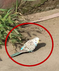 ����ɶƷ�֣����Ļ�ͦ�ÿ�