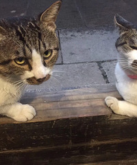 �����������ź��� �����������ȫ���� ��ֻ��˯��