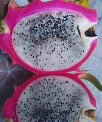 ����ĳ���ͳ��в����ˮ���п���Ȼ���⸱���ӣ������������