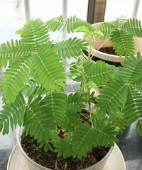 ��·������躬�߲� ����ô�������� �ϰ��Ȼ˵...