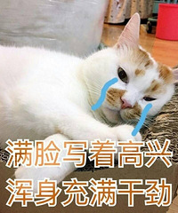 �Ҷ���Ͳ��Ҷ����Ǵ� ���Ǿ�����ô���ȽϺã�