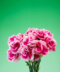 �����Ϲ�Ҫ100 �������Һö� ��˵��Ǯ����������