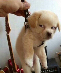 ��·����������������ռ��� �����˵��һ�仰���±���