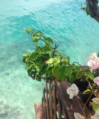 �ɱ���֮Ǳ ��Ǳ�ͺ��������ٲ���