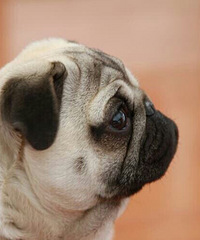 ����ѧУ������ ����Ҫ�ǻ���ѧ�����ж��