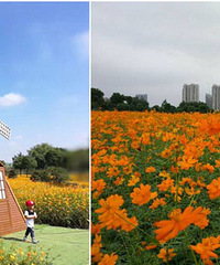 ���������̵���ֱ�����ˣ���·��Ƭ����