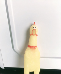 97�� Ů ĳ��˾��Ӫ ����26-27�ڵ������ѣ�