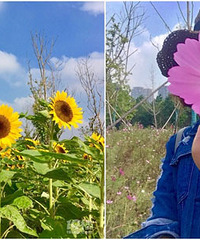 ���տ�����ɣ���������������������