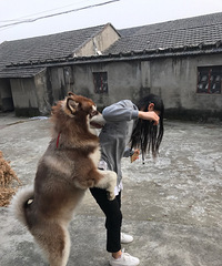 ���ް��ж���Լ�����