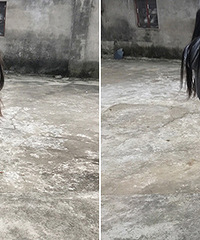 �⹷�޵��� �����Ӿ��ˣ�