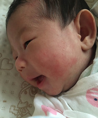 ����ʪ�����޺��