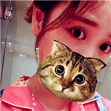 ����һ���ú�����