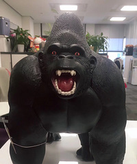 ���Ϲ���æ������ ���