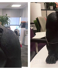 С�������˸���Ů ��LG��æ������ �����