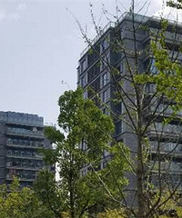 ̽���̳ǵ�һ����Ʒ��¥�� ��ƺ���Ǯ