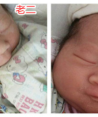 ����̥��ʱ��䶯����������Ժ������