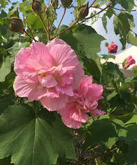 ����С���������� �Һ��Ϲ�һ����һ�� �ü�������û˯��