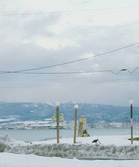 这个冬天去北海道 泡着温泉看雪