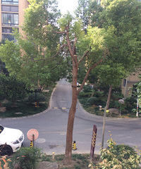 ���ۣ�С����10��ɲĵ������� 10���ӱ����ɲ�ȱ