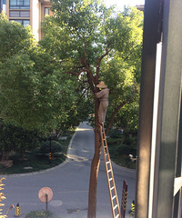 ���ۣ�С����10��ɲĵ������� 10���ӱ����ɲ�ȱ