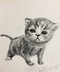 28��MM ����165 ϲ�������黭 ����ɢ��