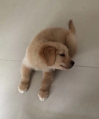 ��¼��Ů��һ��һ��