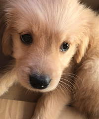 ��¼��Ů��һ��һ��