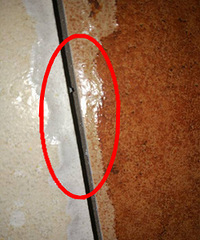 ��Ǯ�����ܣ��������⸱����