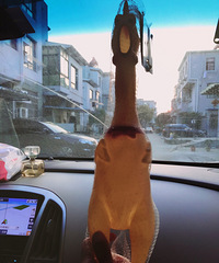 ��Ů������ֻ�ҽм� ���...