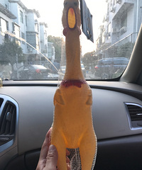 �������˸��ҽм� ר������������