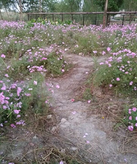 ���ۣ�����ܻ�������̵�  ���ﶼ���ȵĶ���������