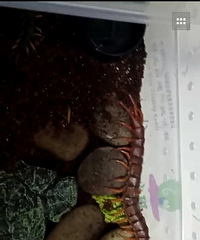 ̫�ֲ��ˣ������˾�Ȼ͵͵��������������򼡤����