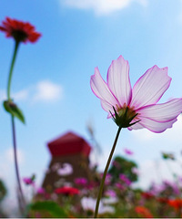 ��ĩ�����������̵� ��Ƭ���������ˣ�