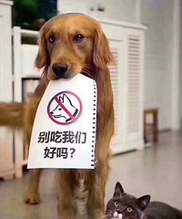 公益广告,无需您点赞,共呜请转发!
