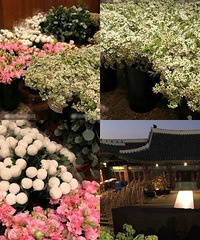 ��ֱ�������ٻ��λ��ǽ��ս�飡������ٻ��λ��ǽ�鳡��