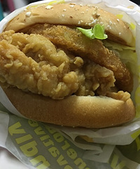 KFC35��Ǯ�������ײ� ��Ʒ�ļ������ʵ������