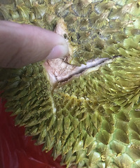 �ڼ���ĳˮ�������˸������� �ϰ徹˵����һ��50�飡