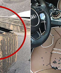 ̫���ǾƵ긽�� �µ϶����������󶴣�