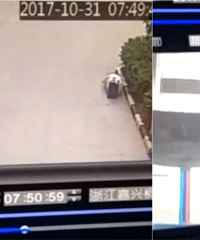 ���������ϡ�SUV ��SUV��ͷ�������˹�����һ�ߡ���