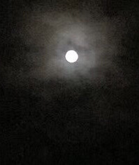 �ĺ��ۣ����ܲ�û��ֹ������ ����Ҳû��ֹ�һ��