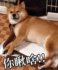 ͬ��������̫�� �����Ҹ���һ��֮�����Ϲ�