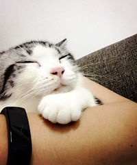 ߣè�������壡
