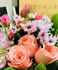 ���ǵİ��嵺����֮��