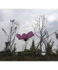 ��������գ��κ���������